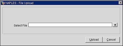 budget forecast import
