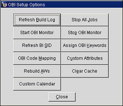 obi_options_2_1_2012